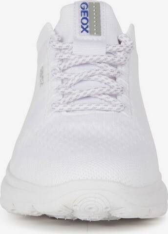 Baskets basses 'Spherica' GEOX en blanc