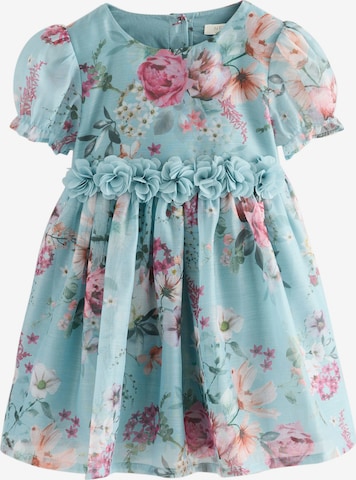 mėlyna Next Suknelė: priekis