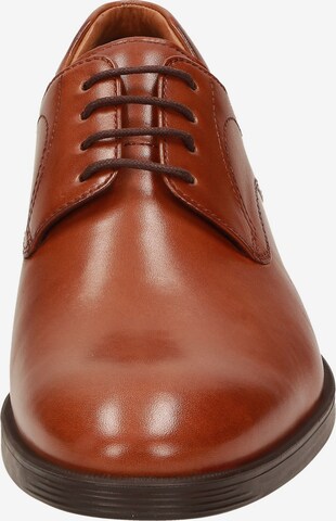 SIOUX Lace-Up Shoes in Brown