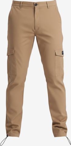 Ombre Trousers in Brown: front