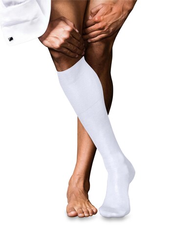 FALKE Knee High Socks 'No. 9 Pure Fil d´Écosse' in White: front