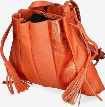 Gave Lux Buideltas in Oranje: voorkant