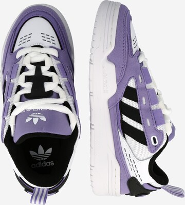 ADIDAS ORIGINALS Sneakers 'Adi2000' in Purple
