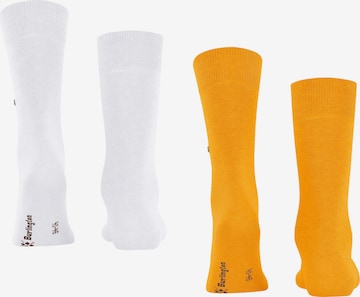 BURLINGTON Socks in Yellow