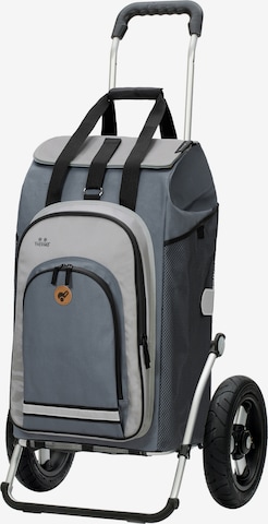 Andersen Shopper Trolley in Grau: Vorderseite