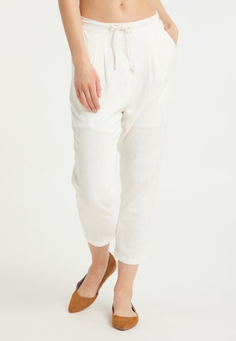 Usha Regular Pleat-Front Pants in White: front