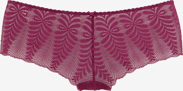 LASCANA Panty in Pink: predná strana