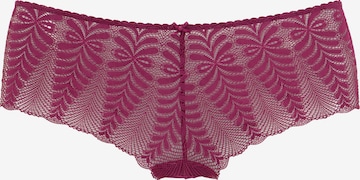 LASCANA Boyshorts in Pink: front