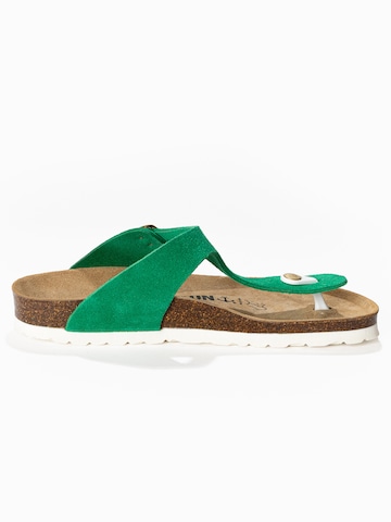 Zoccoletto 'MERCURE' di Bayton in verde