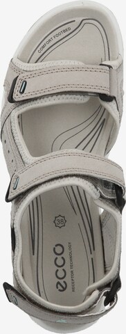 ECCO Sandals 'Offroad Lite' in Grey