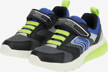 GEOX Sneakers in Mixed colors