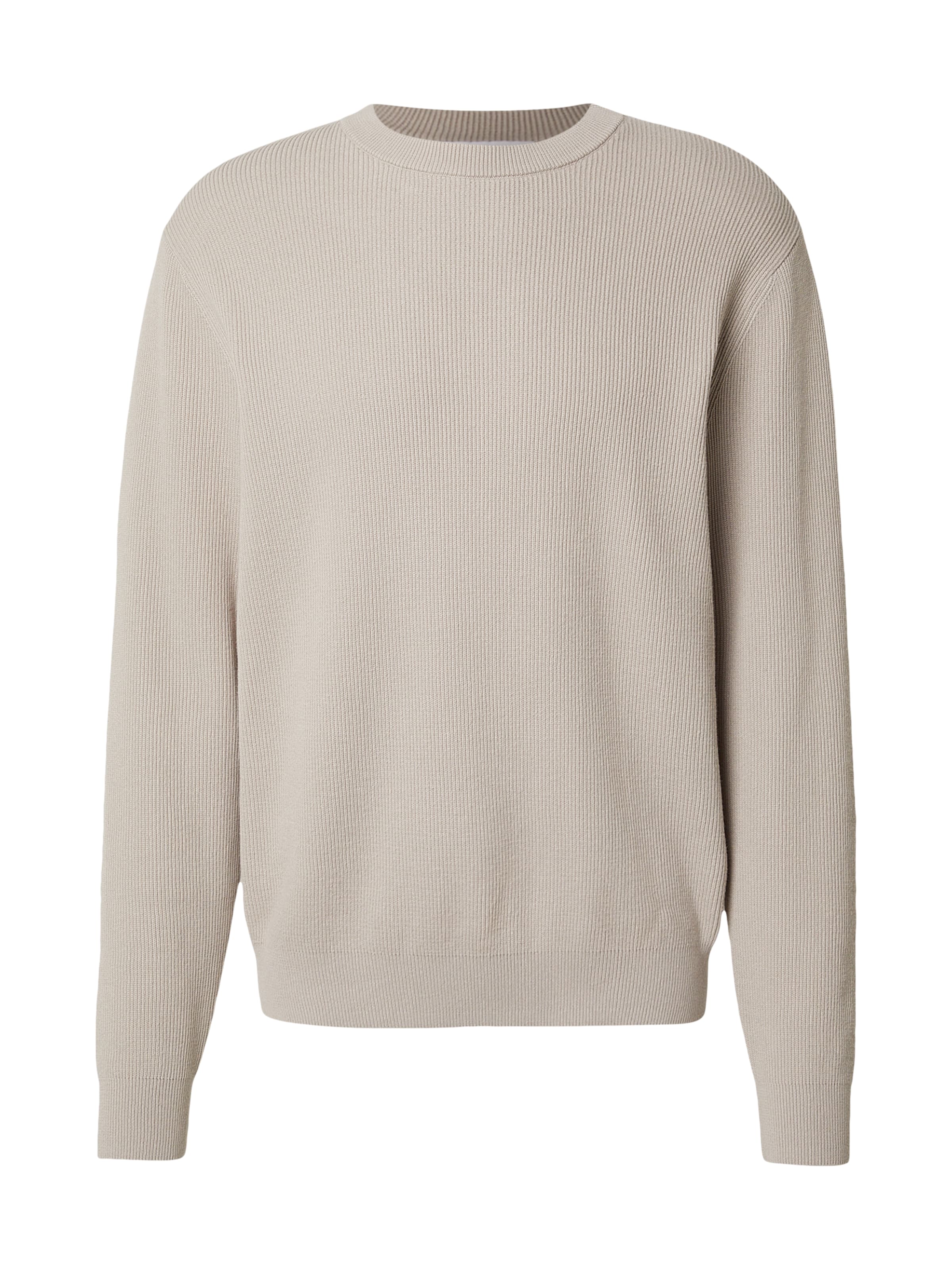 Pullover 'Luis' DAN FOX APPAREL di colore grigio chiaro, Visualizzazione prodotti