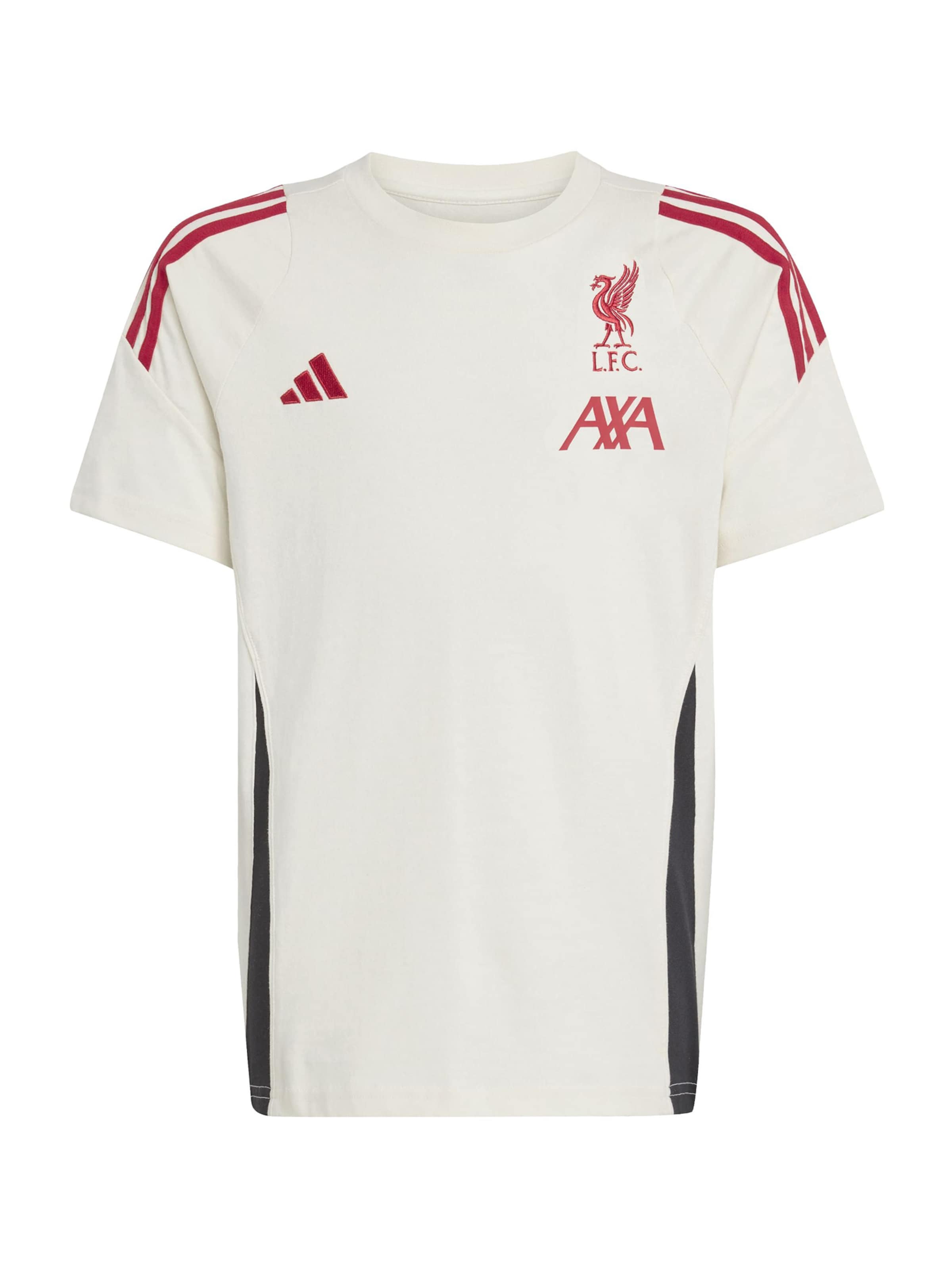 ADIDAS PERFORMANCE Функциональная футболка в Белый: спереди