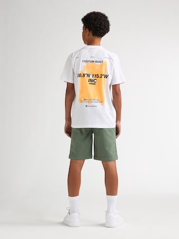 Petrol Industries Regular Hose in Grün