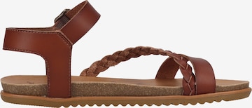 Blowfish Malibu Strap Sandals 'Marlah' in Brown