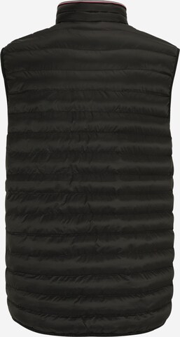 Tommy Hilfiger Big & Tall Vest in Black