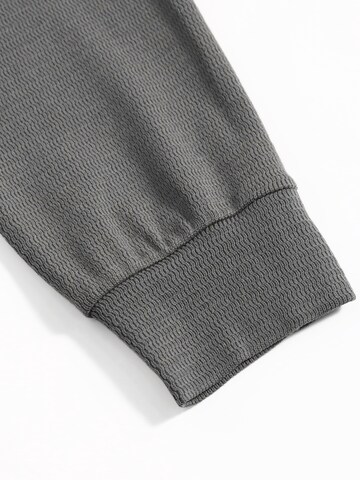 ALLTHEMEN Shirt 'Schwinge' in Grey