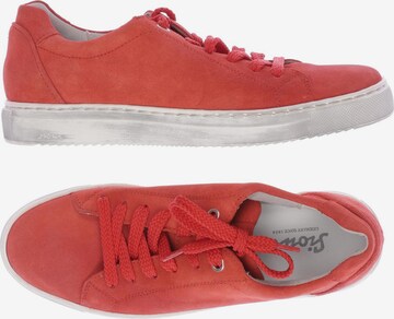 SIOUX Sneakers & Trainers in 38 in Red: front