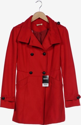 Promod Jacket & Coat in M in Red: front