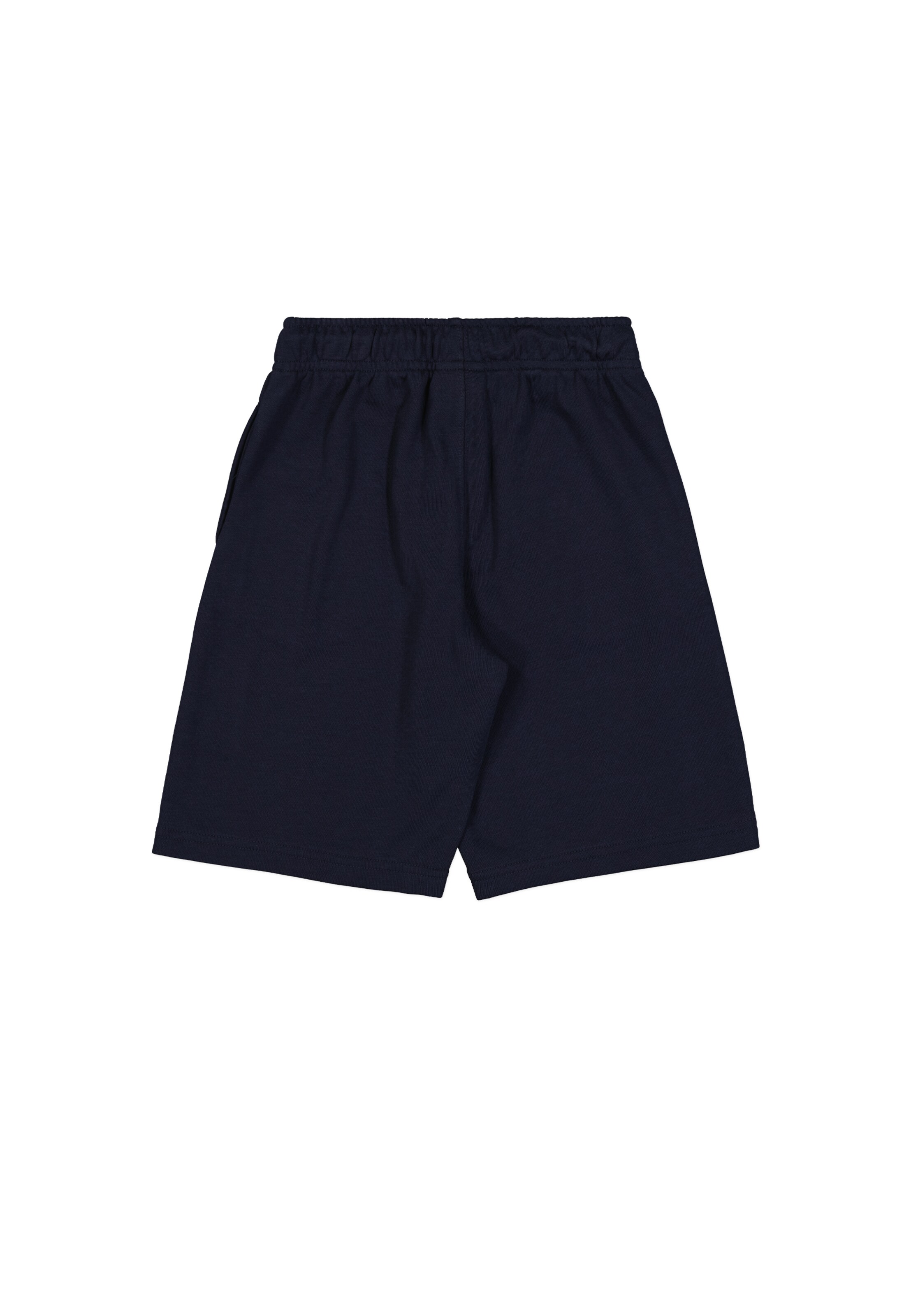 Champion Authentic Athletic Apparel Regular Pants in Blue