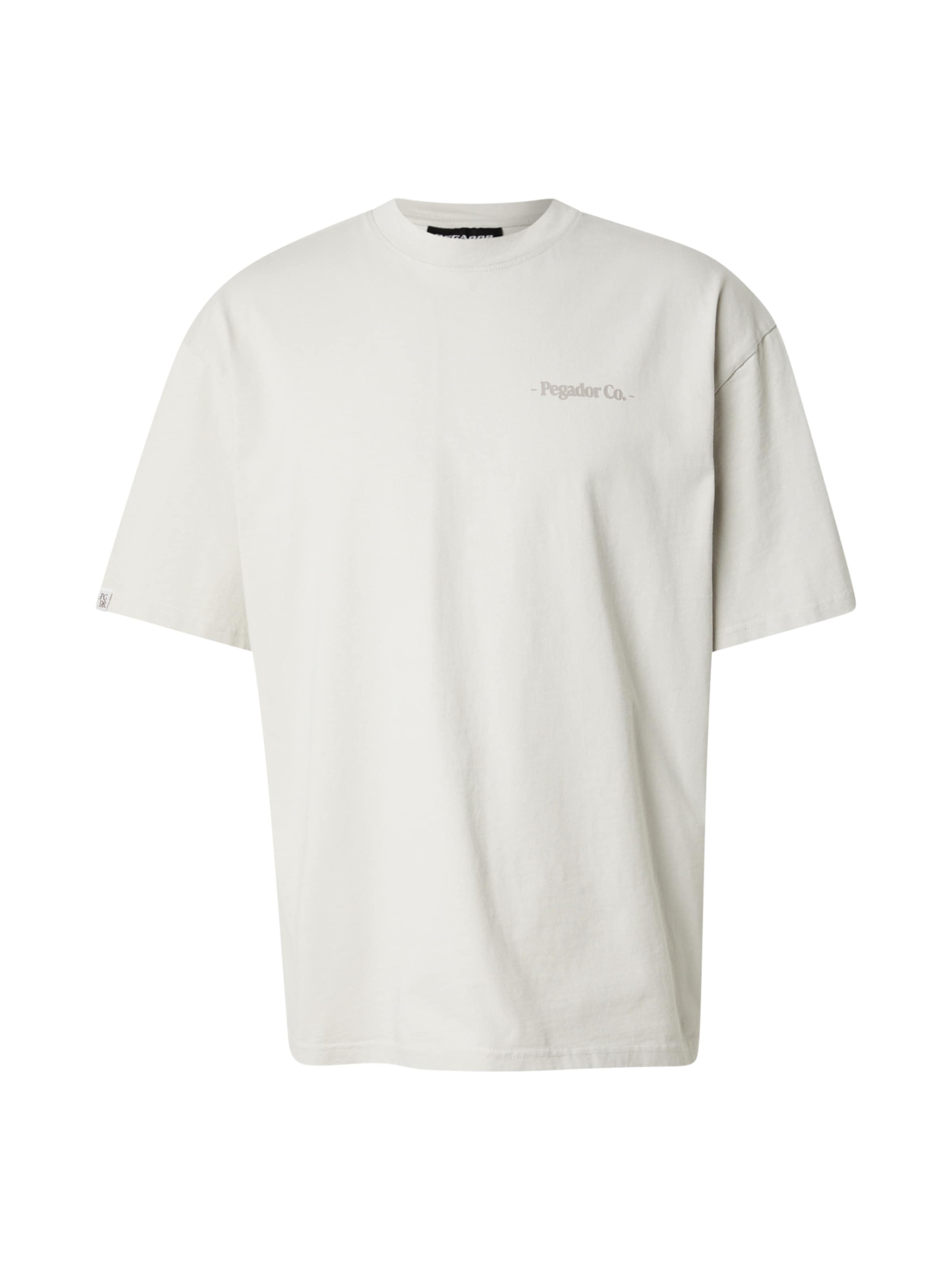 Pegador T-Shirt 'Sequia' in Grau: Vorderseite