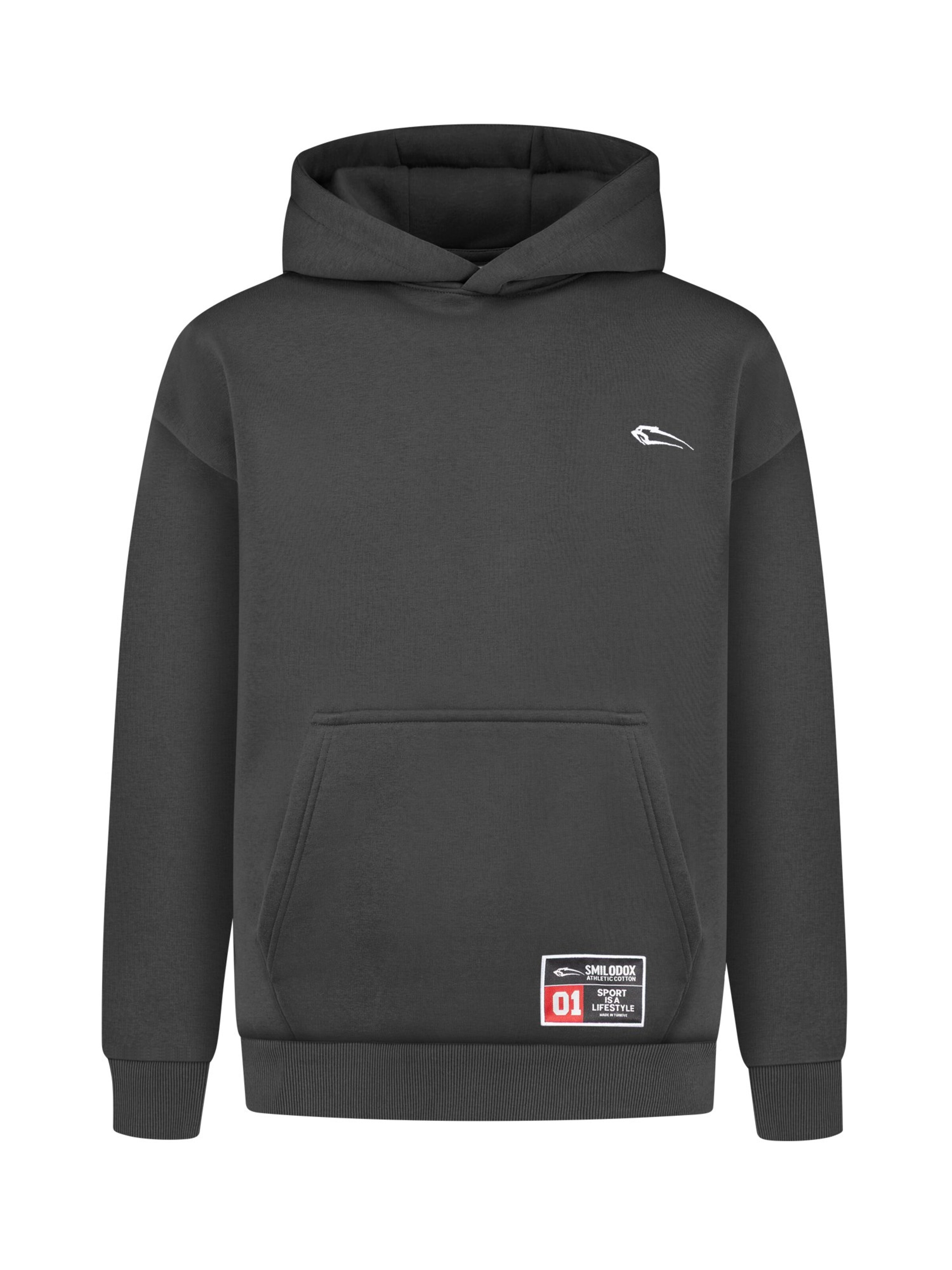 Smilodox Sweatshirt in Grey: front