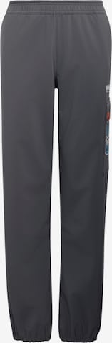 Effilé Pantalon d'extérieur 'Minecraft' ADIDAS TERREX en gris : devant