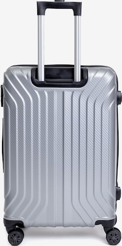 Redolz Suitcase Set in Silver