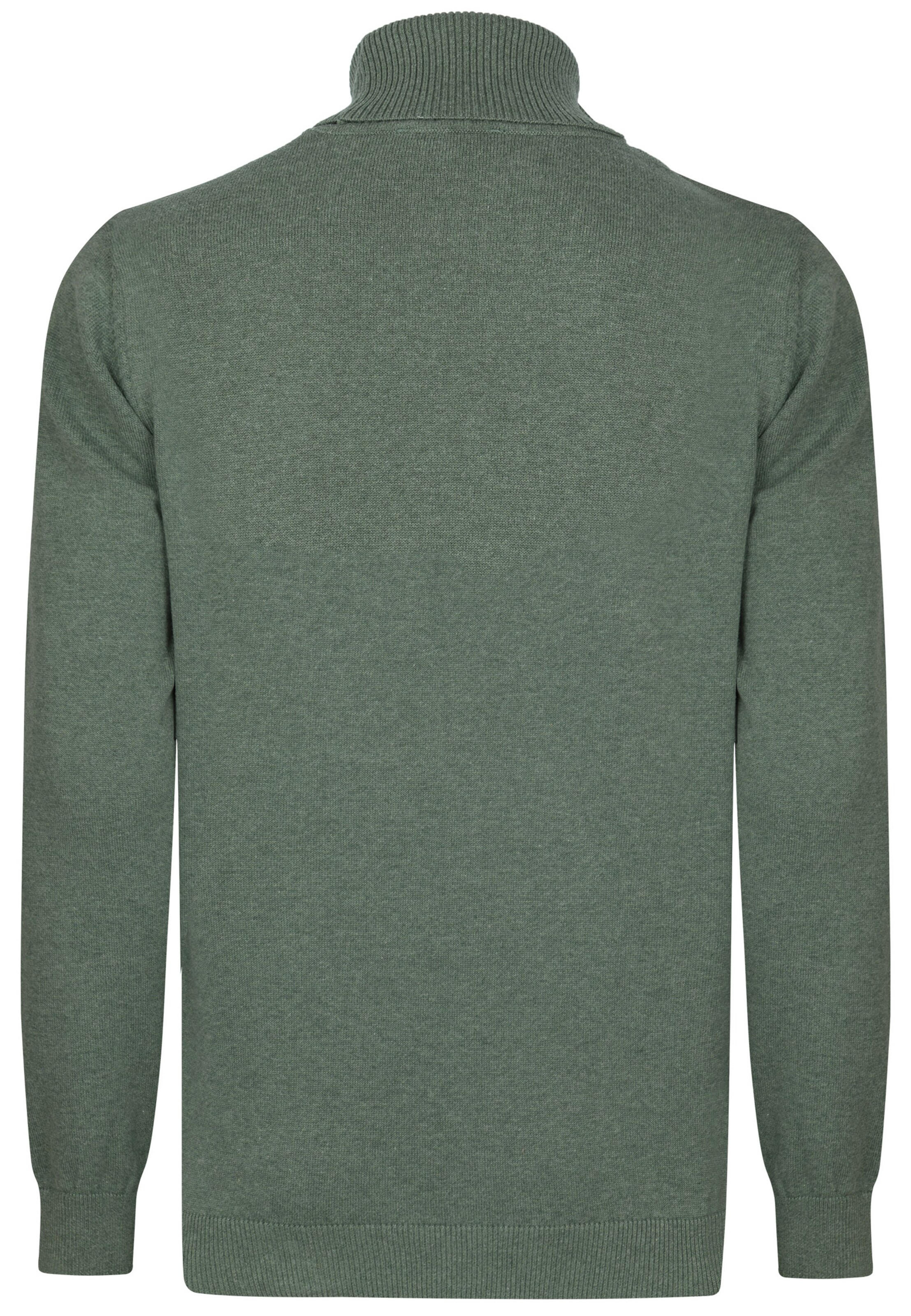 Felix Hardy Pullover in Grün