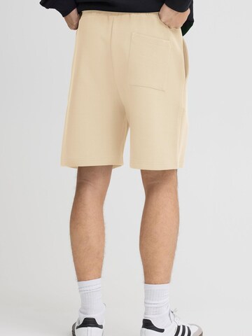 regular Pantaloni ' SDRoland ' di !Solid in beige