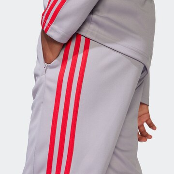 ADIDAS PERFORMANCE Regular Sporthose 'Squadra 25' in Lila