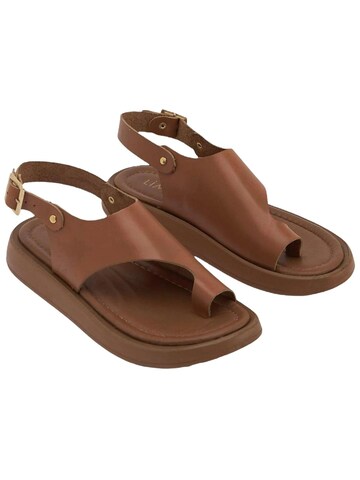 Limoya Sandals 'Damensandalen' in Brown
