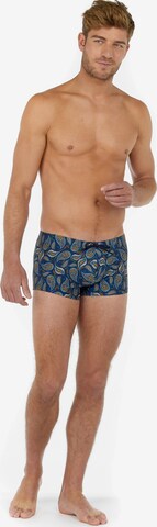 HOM Swim Shorts ' Abaco ' in Blau