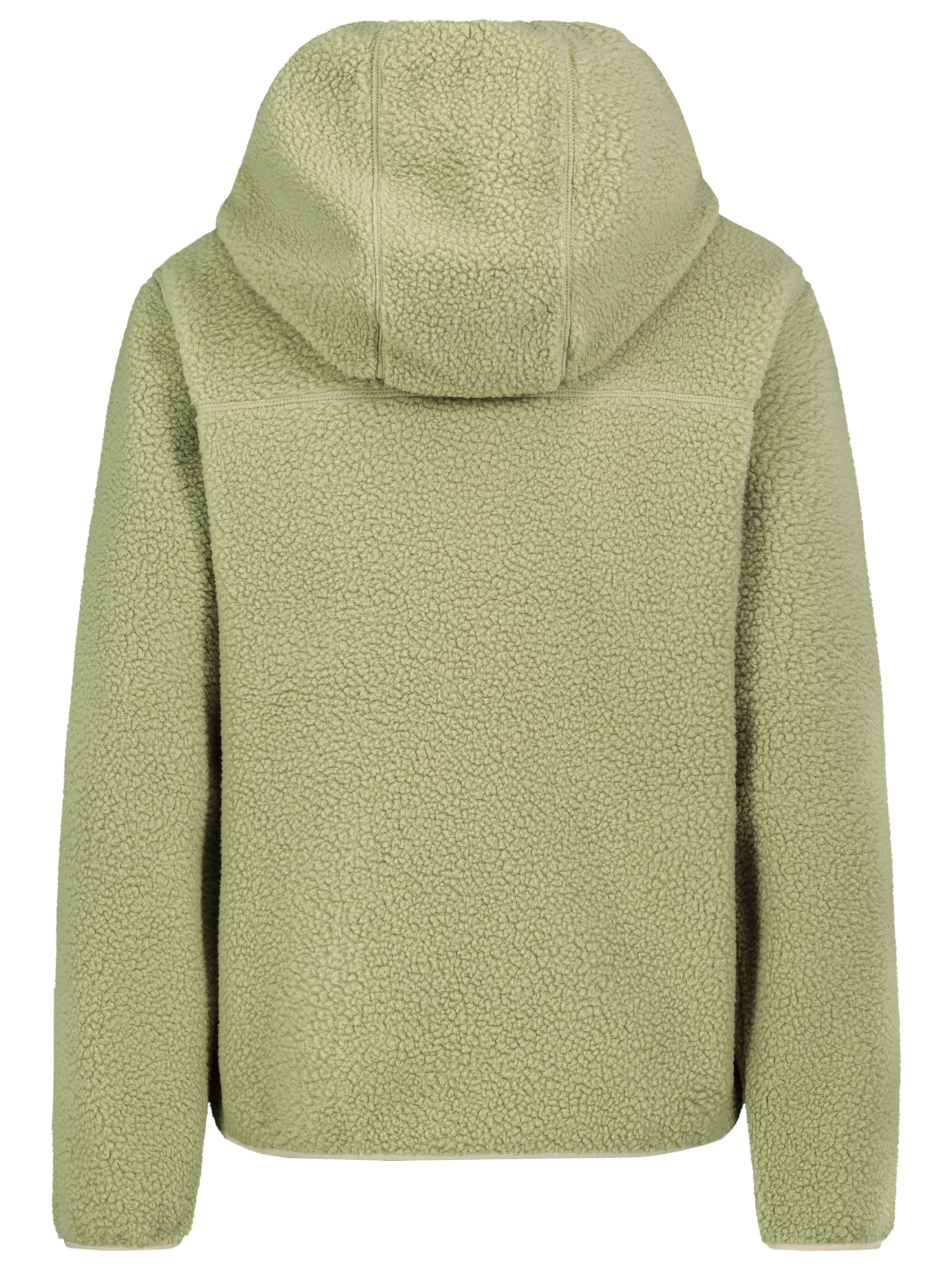 Sublevel Fleece jacket in Green