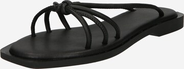 Trendyol Mule in Black: front