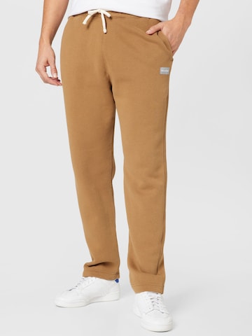 HOLLISTER Pants in Brown: front