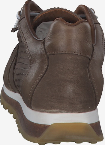 Cetti Sneakers 'C848 S M' in Brown