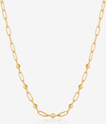 ANIA HAIE Necklace in Gold: front