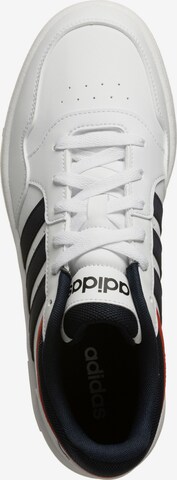 Chaussure de sport 'Hoops 3.0' ADIDAS PERFORMANCE en blanc