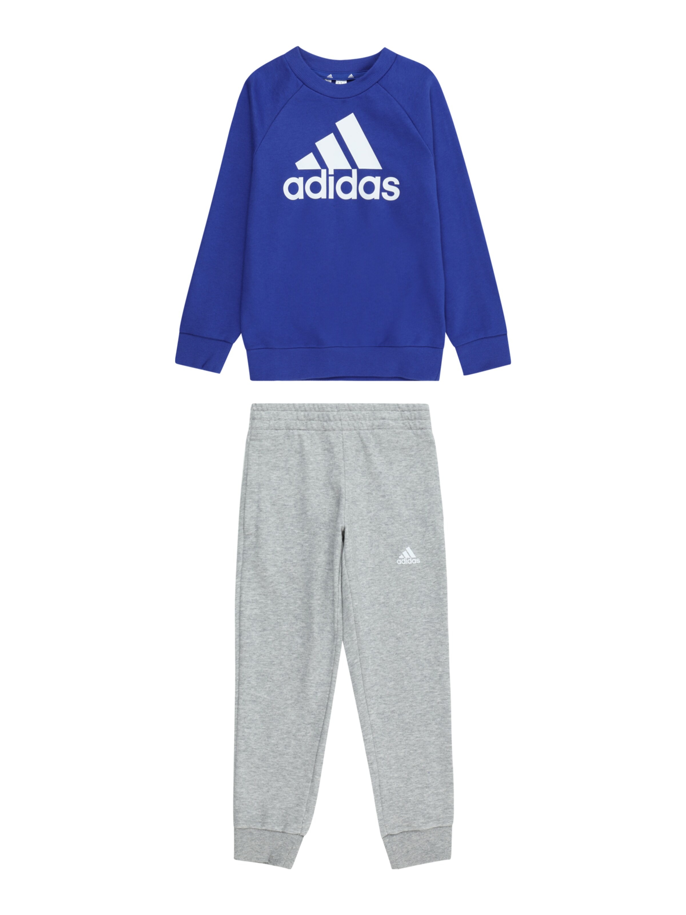 ADIDAS SPORTSWEAR Strój treningowy 'Essentials' w kolorze niebieski: przód