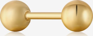 ANIA HAIE Piercingschmuck in Gold: Vorderseite