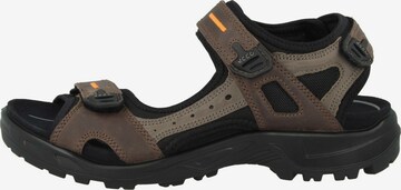ECCO Hiking Sandals 'Offroad Yucatan' in Brown