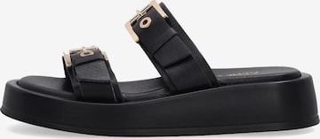 VENEZIA Mules in Black: front