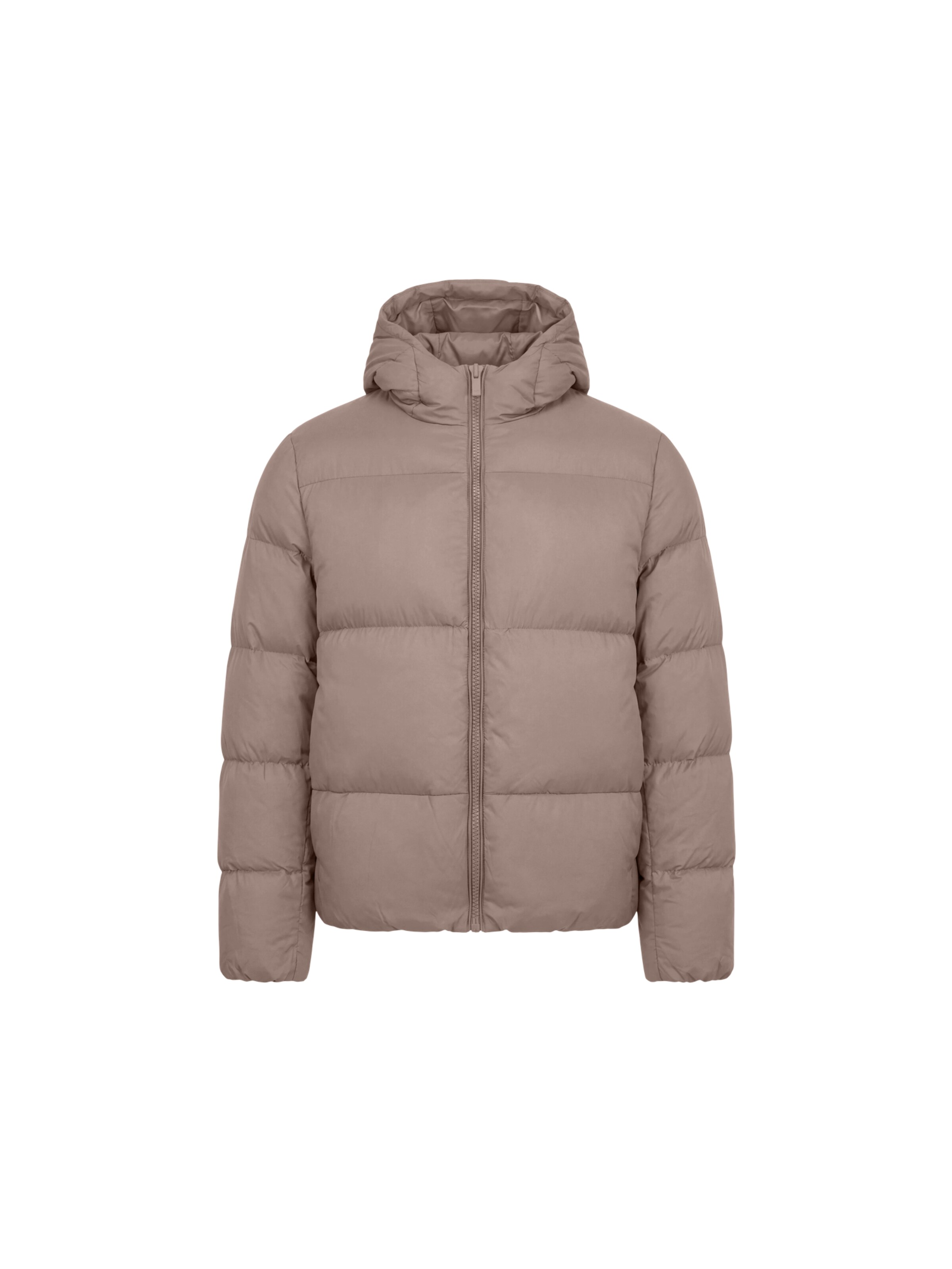 DAN FOX APPAREL Veste d’hiver 'John' en S en taupe, Vue avec produit