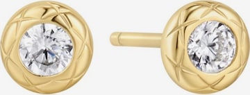 ANIA HAIE Ohrringe in Gold: Vorderseite