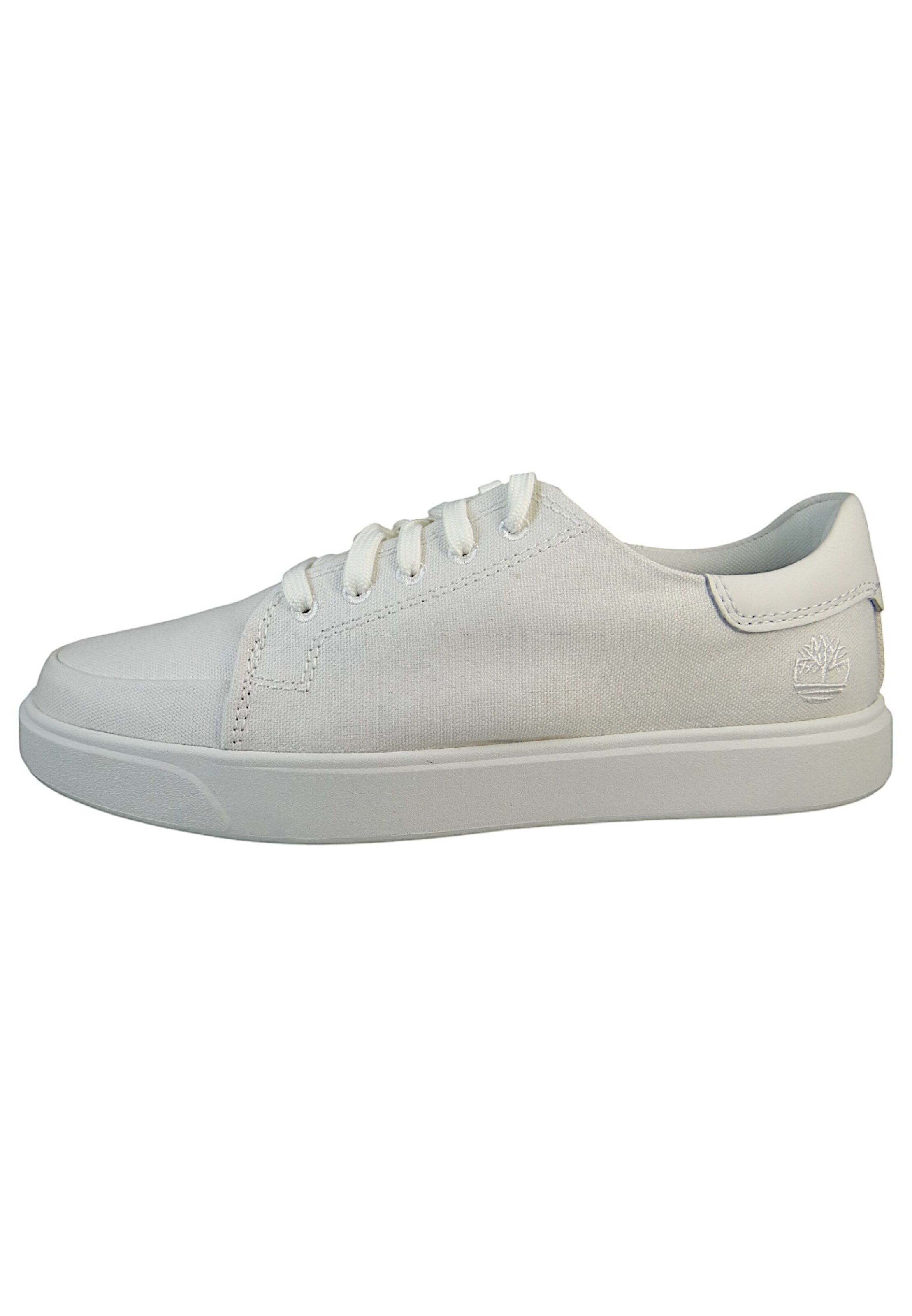 TIMBERLAND Baskets basses en blanc, Vue avec produit