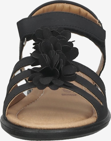 RICOSTA Sandals 'Aurora' in Black