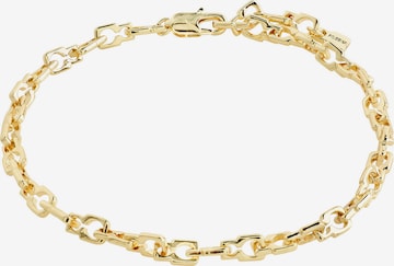 Pilgrim Fußkette 'Live' in Gold: predná strana