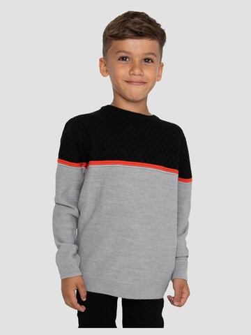 Threadboys Sweater 'Tone' in Grey: front