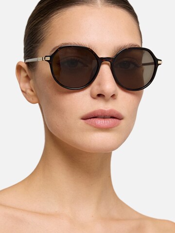Occhiali da sole 'PLD 4149/G/S/X' di Polaroid in marrone